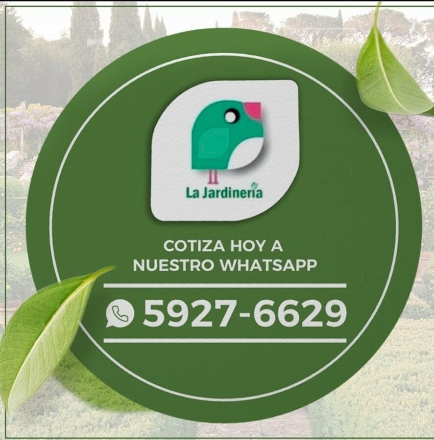 269805034_7283593354987708_8508934690413980573_n