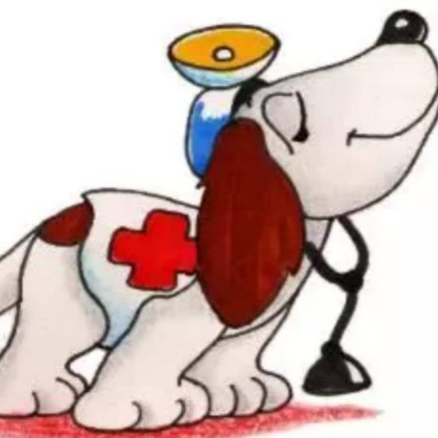 284441478_5049366628465345_461447788904913435_n