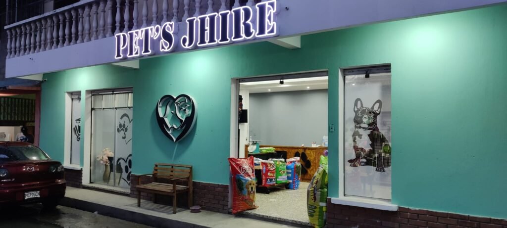 486755816_1232280522233238_9080625837115091781_n