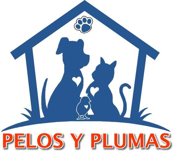 512637495_24109487542014893_7398354823442120560_n